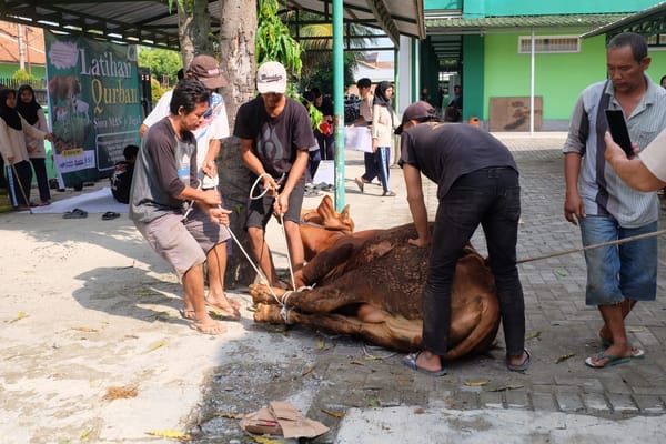 Idul Adha 1445 H, MAN 1 Tegal Adakan Penyembelihan Hewan Kurban
